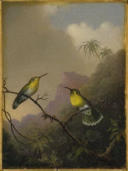 Martin Johnson Heade Two Humming Birds Germany oil painting art